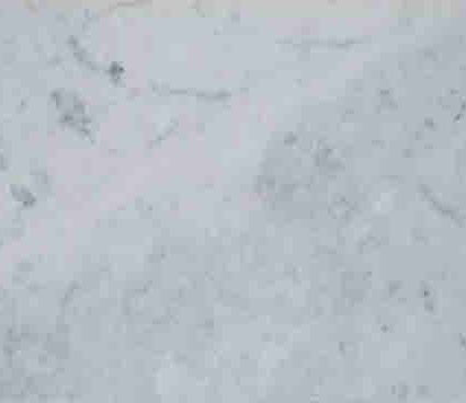 Carrara White Honed Marble