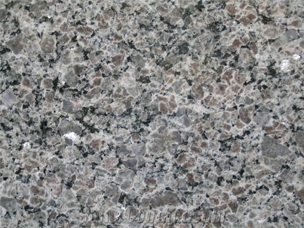 New Caledonia Granite Divine Design Stone Cabinets